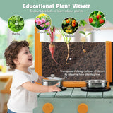 Montessori Wooden Mud Kitchen | Root Viewing Planter | Indoor and Outdoor Use | 3 Years +